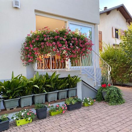 Appartement Le Jardin Lingolsheim Bagian luar foto