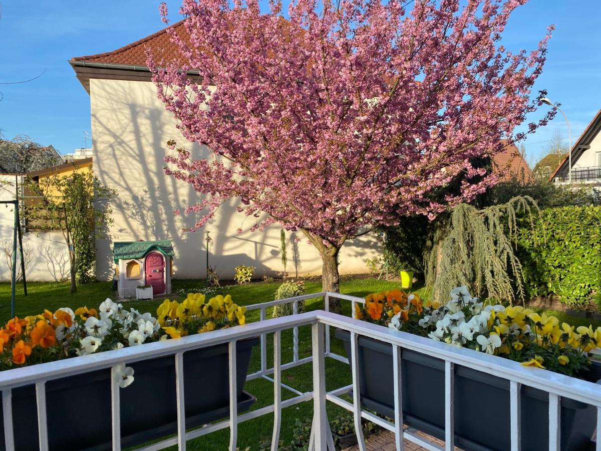 Appartement Le Jardin Lingolsheim Bagian luar foto