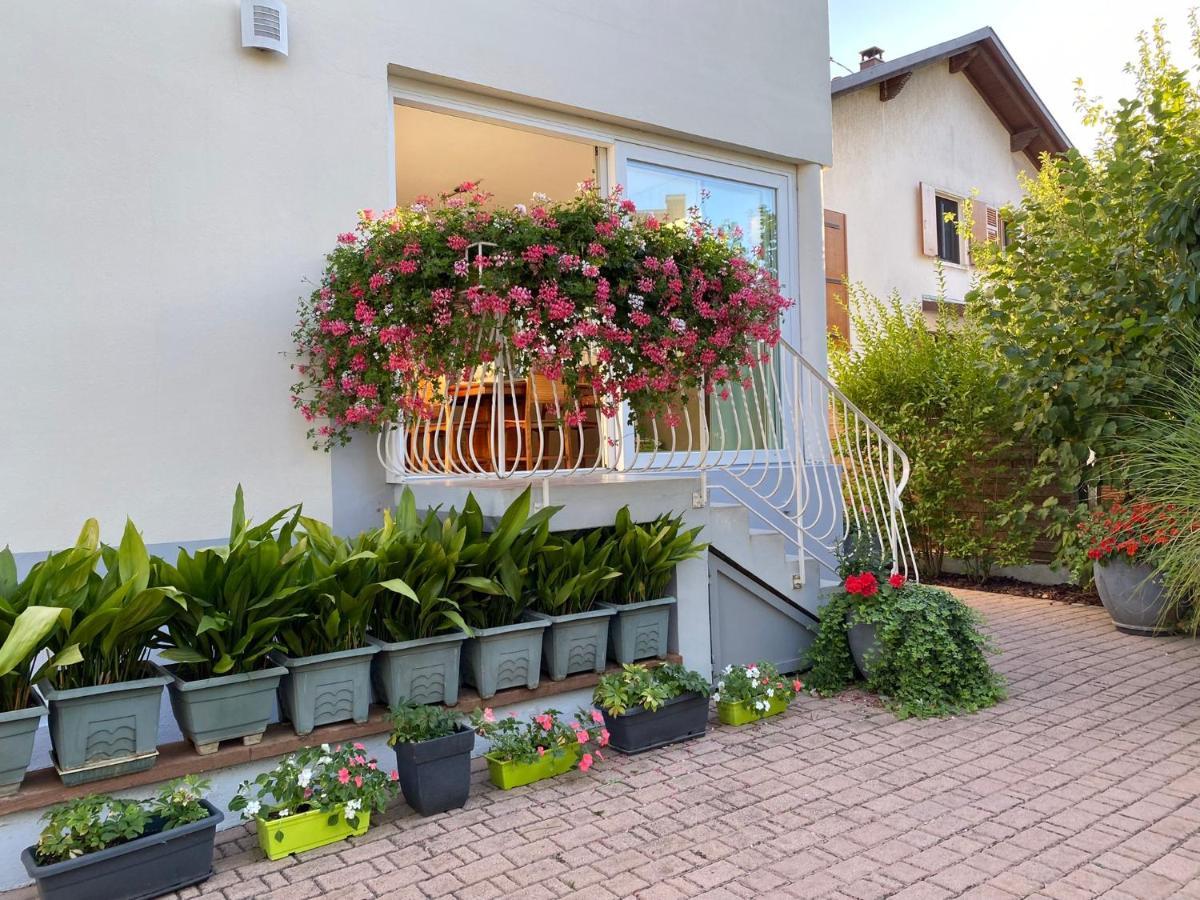 Appartement Le Jardin Lingolsheim Bagian luar foto