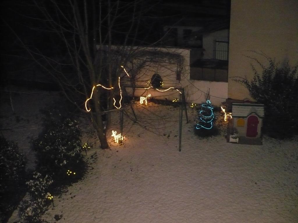 Appartement Le Jardin Lingolsheim Ruang foto