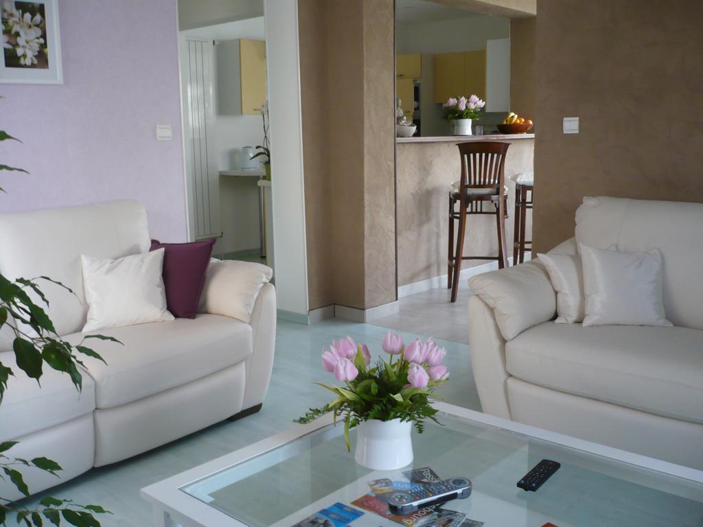 Appartement Le Jardin Lingolsheim Ruang foto