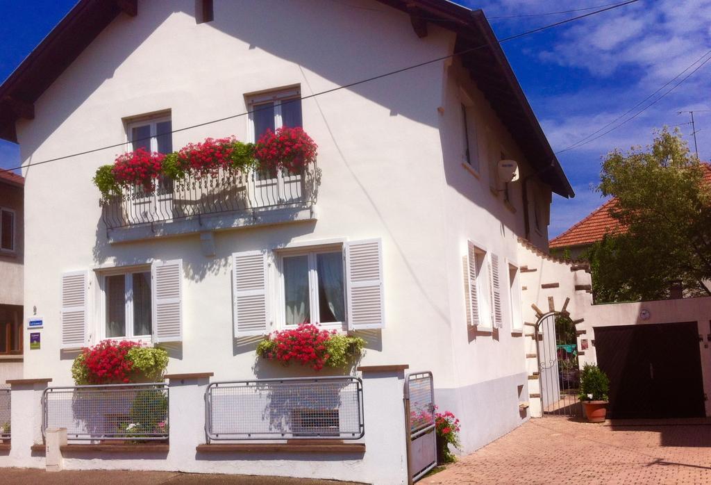 Appartement Le Jardin Lingolsheim Ruang foto