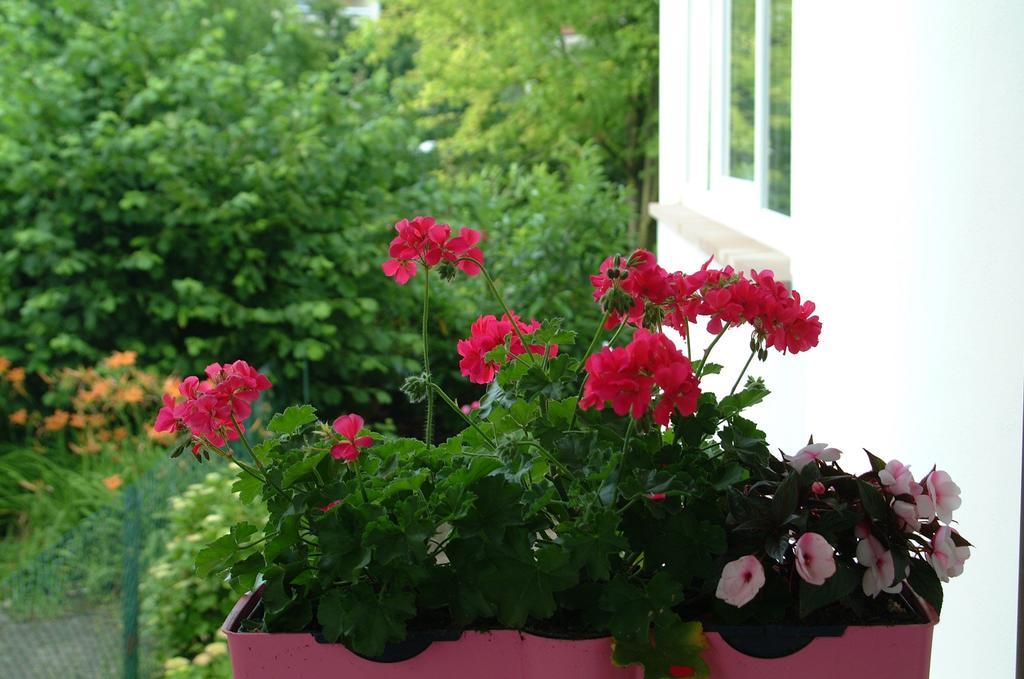 Appartement Le Jardin Lingolsheim Ruang foto