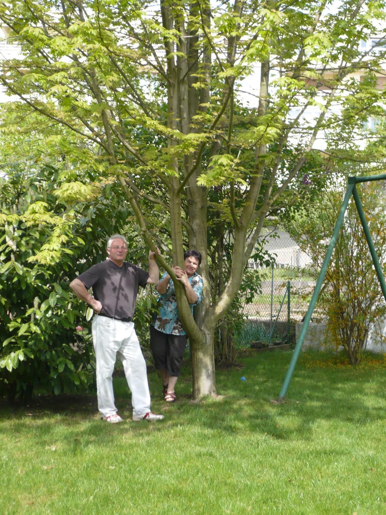 Appartement Le Jardin Lingolsheim Bagian luar foto