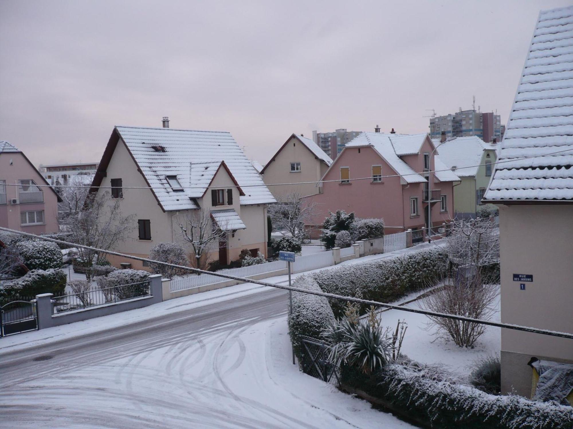 Appartement Le Jardin Lingolsheim Bagian luar foto