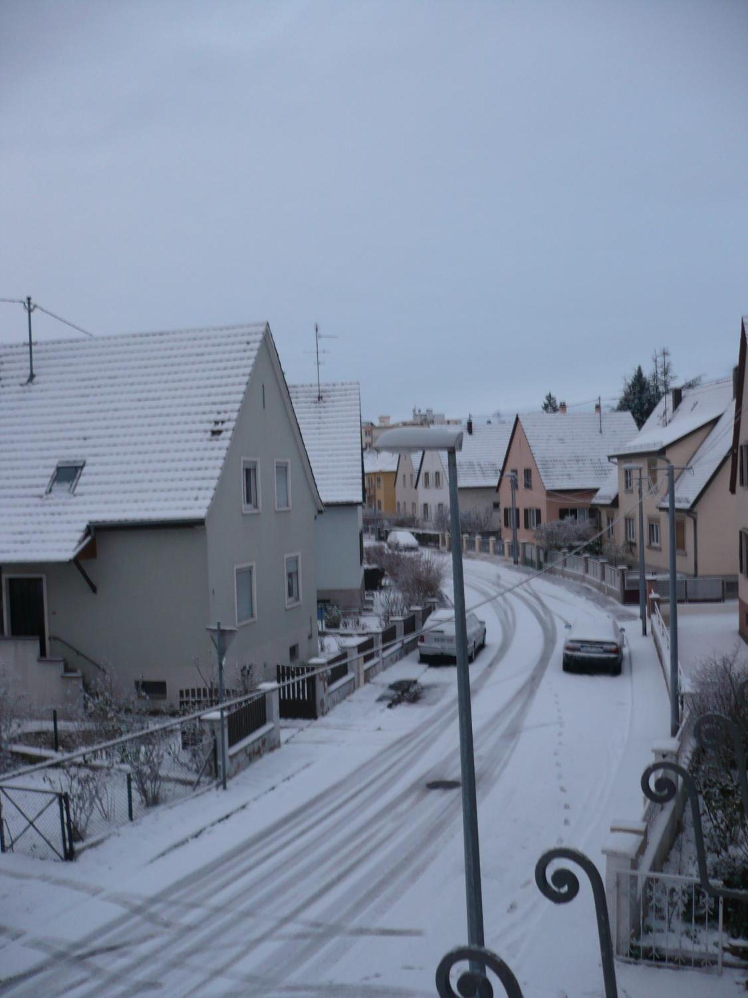 Appartement Le Jardin Lingolsheim Bagian luar foto