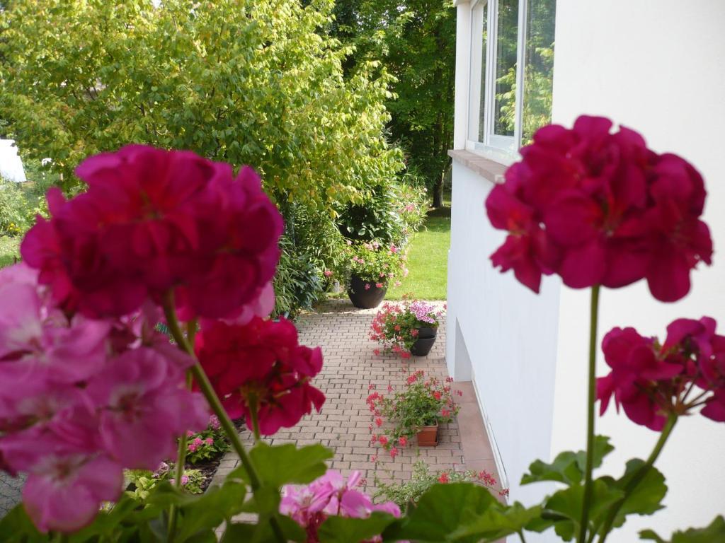Appartement Le Jardin Lingolsheim Bagian luar foto