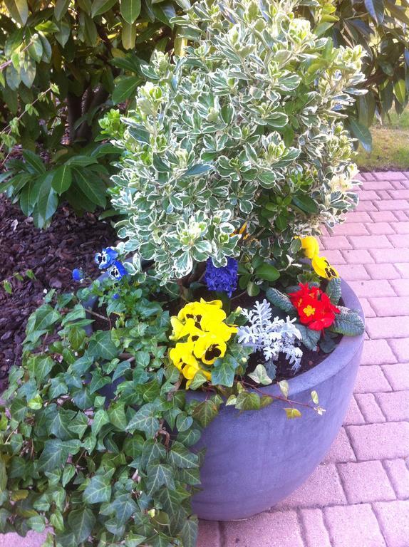 Appartement Le Jardin Lingolsheim Bagian luar foto